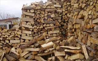 ΥΠΕΚΑ: Στους 13 χιλ. τόνους η λαθραία ξυλεία το 2012 - Φωτογραφία 1