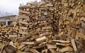 ΥΠΕΚΑ: Στους 13 χιλ. τόνους η λαθραία ξυλεία το 2012
