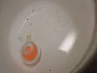 Βίντεο:Τι θα συμβεί αν ρίξεις μια καυτή μπάλα νικελίου σε νερό; - Φωτογραφία 1