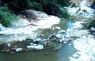 Παράνομες επεμβάσεις στον ποταμό Γαρύλλη στη Λεμεσό - Φωτογραφία 1