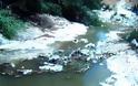 Παράνομες επεμβάσεις στον ποταμό Γαρύλλη στη Λεμεσό
