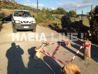 Ηλεία: Η επίσημη ανακοίνωση της Αστυνομίας για το έγκλημα στο Γιαννιτσοχώρι - Φωτογραφία 1