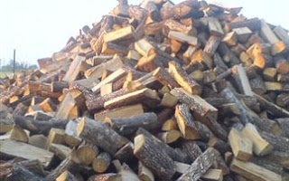 Σε δύσβατα μονοπάτια η βιομηχανία ξυλείας - Φωτογραφία 1