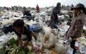 Στα σκουπίδια σχεδόν τα μισά τρόφιμα στον πλανήτη