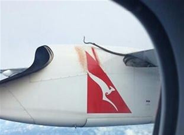 Πύθωνας - «λαθρεπιβάτης» σε φτερό αεροσκάφους, - Φωτογραφία 1