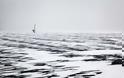 Windsurfing πάνω σε παγωμένη λίμνη! - Φωτογραφία 5