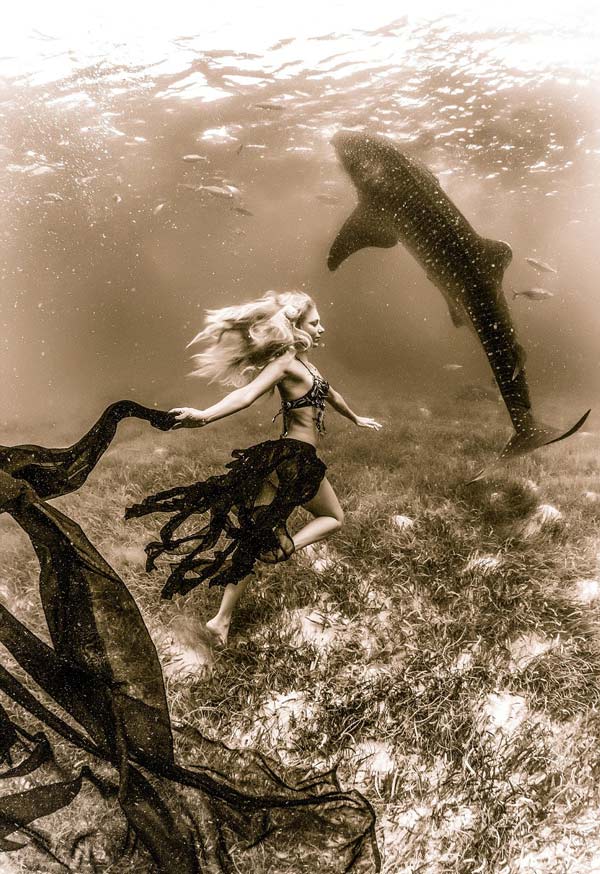 Μοντέλα & καρχαρίες σε υποβρύχια επίδειξη μόδας! - Φωτογραφία 6