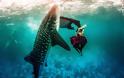 Μοντέλα & καρχαρίες σε υποβρύχια επίδειξη μόδας!