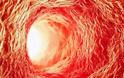 Βλαστοκύτταρα «αναγεννούν» αρτηρίες