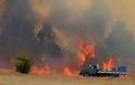 Αυστραλία: Μεγάλες πυρκαγιές μαίνονται στη νοτιοανατολική χώρα, η πυροσβεστική υπηρεσία απευθύνει έκκληση για εθελοντές