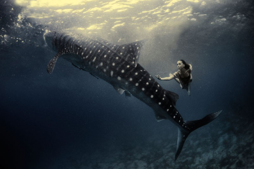 Μοντέλα ποζάρουν δίπλα σε φάλαινες – καρχαρίες - Φωτογραφία 4