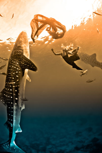 Μοντέλα ποζάρουν δίπλα σε φάλαινες – καρχαρίες - Φωτογραφία 7