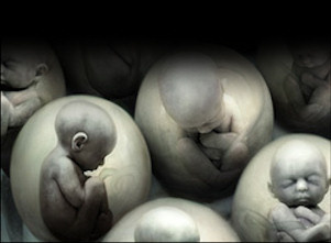 Κάτοχος του Νόμπελ Ιατρικής 2012: Σε 50 χρόνια από σήμερα οι άνθρωποι θα μπορούν να κλωνοποιούνται! - Φωτογραφία 1