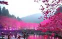 ΕΚΠΛΗΚΤΙΚΕΣ ΕΙΚΟΝΕΣ: Η λίμνη με τις κερασιές! - Φωτογραφία 6