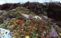Στα σκουπίδια τα μισά τρόφιμα που παράγονται!