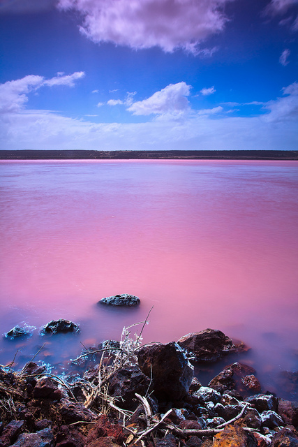 Hutt Lagoon: Μια λίμνη στις αποχρώσεις του… κόκκινου! - Φωτογραφία 3