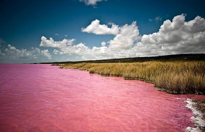 Hutt Lagoon: Μια λίμνη στις αποχρώσεις του… κόκκινου! - Φωτογραφία 4