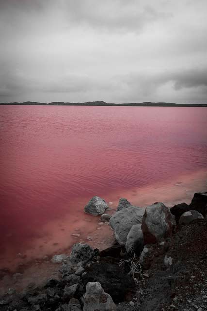 Hutt Lagoon: Μια λίμνη στις αποχρώσεις του… κόκκινου! - Φωτογραφία 5