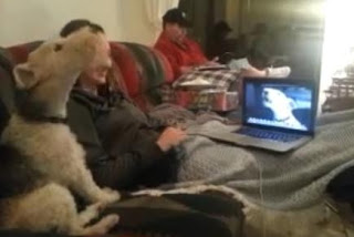 Σκύλος επικοινωνεί με φίλους του... μέσω Skype! [video] - Φωτογραφία 1