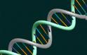 Πόση πληροφορία μπορεί να αποθηκευτεί στο DNA;