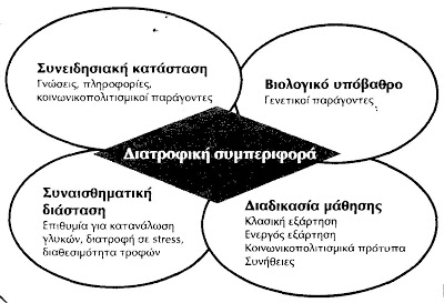 H πολυδύναμη αντιμετώπιση της παχυσαρκίας - Ο ρόλος του ψυχολόγου - Φωτογραφία 2