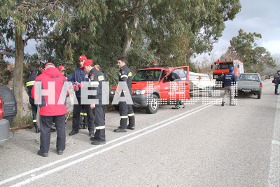 Επιτάλιο: Νέο περιστατικό με παγιδευμένο κοπάδι ζώων στον Αλφειό - Φωτογραφία 3