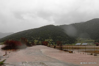 Καλάβρυτα: Η μισή επαρχία πνίγηκε από τη βροχόπτωση η υπόλοιπη χώθηκε μέσα στο χιόνι - Δείτε φωτο - Φωτογραφία 4