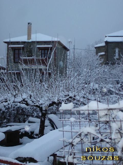 Ναύπακτος: Φωτογραφίες από τη χιονισμένη Άνω Χώρα - Φωτογραφία 2