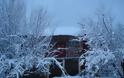 Ναύπακτος: Φωτογραφίες από τη χιονισμένη Άνω Χώρα - Φωτογραφία 6