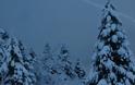 Ορεινή Ναυπακτία: H ελληνική Ελβετία χιονισμένη - Δείτε φωτο - Φωτογραφία 6