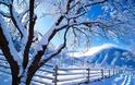 Μυστικά για όμορφες χειμωνιάτικες φωτογραφίες - Φωτογραφία 1