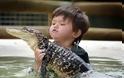 3χρονος παίζει με αλιγάτορα - Φωτογραφία 3