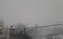 Συμβαίνει Tώρα - Έντονη χιονόπτωση στο Κωσταράζι Καστοριάς