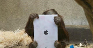 Πίθηκοι με iPad σε ζωολογικό κήπο [video] - Φωτογραφία 1