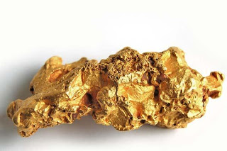 Ο χρυσός του Κιλκίς και οι αμοιβάδες… - Φωτογραφία 1