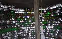 2619 - Ανεμόμυλος από 2000 γυάλινα μπουκάλια, ομοίωμα λιθόκτιστου ανεμόμυλου της εποχής που η Ορμύλια ήταν μετόχι της Ι.Μ. Δοχειαρίου. - Φωτογραφία 2