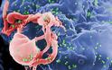 Έφτιαξαν με μοριακά ψαλίδια, κύτταρα ανθεκτικά στον HIV