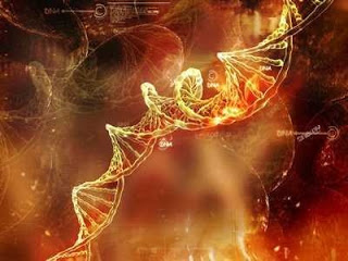 Μετέτρεψαν το DNA σε μέσο αποθήκευσης - Φωτογραφία 1