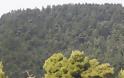 Αντιπυρική θωράκιση των δασών της Σκοπέλου με αισθητήρες και κάμερες