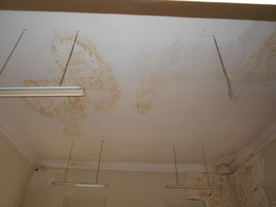 Πάτρα: Στο κτίριο του παλαιού Αρχαιολογικού Μουσείου μεταφέρθηκε το Δημοτικό Ωδείο - Σε άθλια κατάσταση το παρέλαβε ο Δήμος - Δείτε φωτο - Φωτογραφία 3