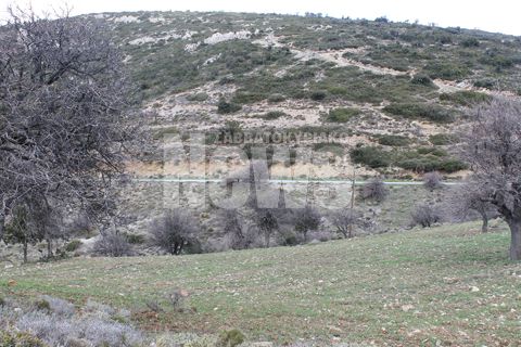 Αλίκη Βουγιουκλάκη: Το μεγάλο μυστικό που πήρε στον τάφο της! - Φωτογραφία 5