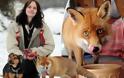 ΣΚΥΛΙΣΙΑ ΖΩΗ: Διαβάστε τη συγκινητική ιστορία της αλεπούς που ζει σαν σκύλος!