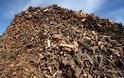87 τόνοι ξύλων κατασχέθηκαν το 2012 από το Δασαρχείο Καλαμάτας