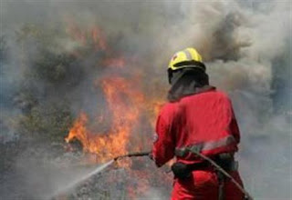 Αχαΐα: Δύο πυρκαγιές το μεσημέρι σε Πλατανόβρυση και Μιτόπολη - Φωτογραφία 1