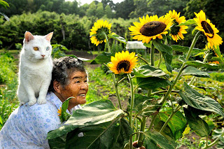 Σπάνια φιλία γιαγιάς με μια παράξενη γάτα! - Φωτογραφία 1