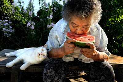 Σπάνια φιλία γιαγιάς με μια παράξενη γάτα! - Φωτογραφία 4