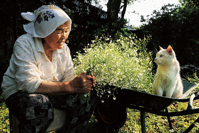 Σπάνια φιλία γιαγιάς με μια παράξενη γάτα! - Φωτογραφία 8