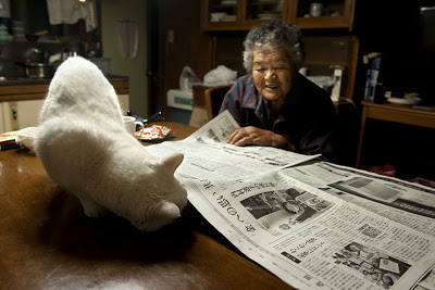 Σπάνια φιλία γιαγιάς με μια παράξενη γάτα! - Φωτογραφία 9