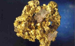 Βακτήριο «αλχημιστής» για την εξαγωγή χρυσού - Φωτογραφία 1