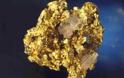 Βακτήριο «αλχημιστής» για την εξαγωγή χρυσού